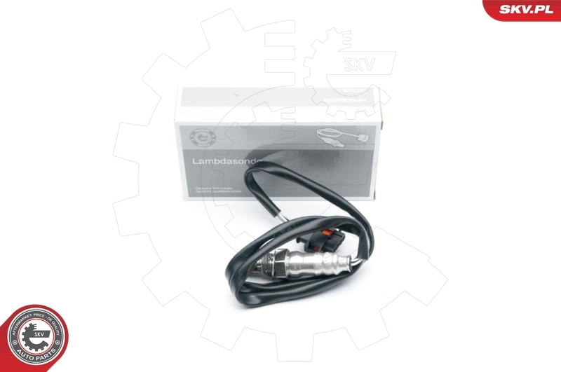 Oxygen Sensor
